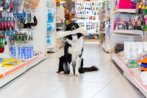 Pet shops